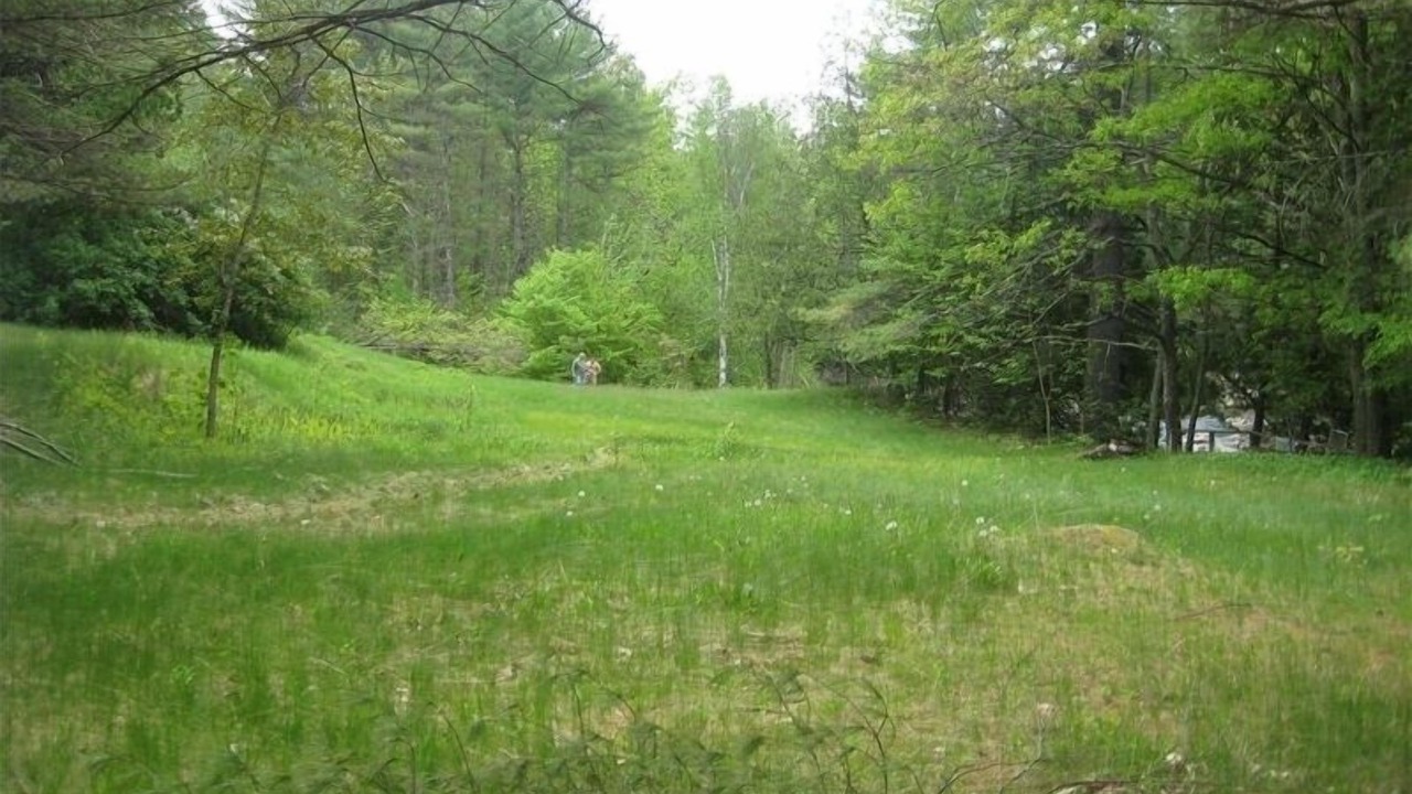 Photo of Others in Keene