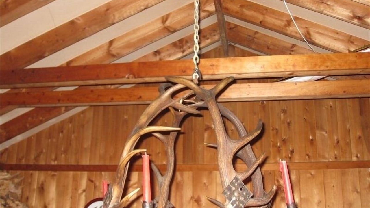 Photo of Others in Keene