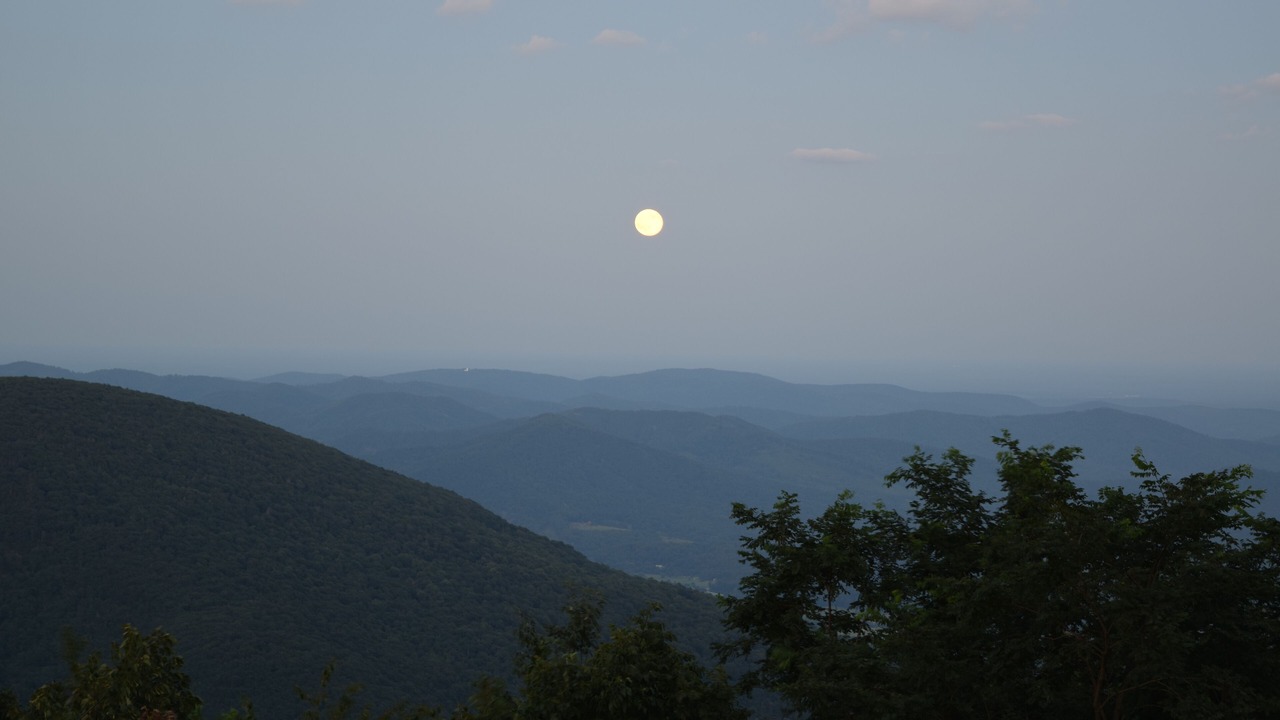 Photo of Others in Chestnut Springs