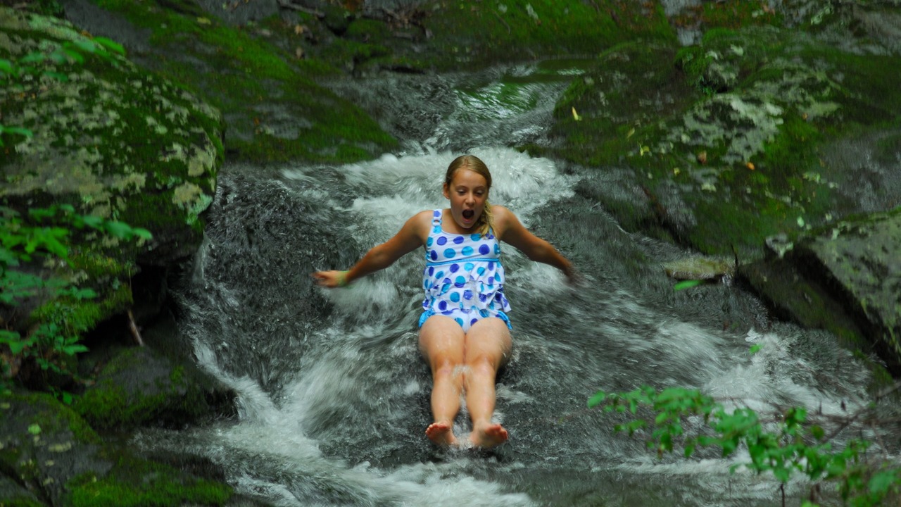 Photo of Others in Chestnut Springs