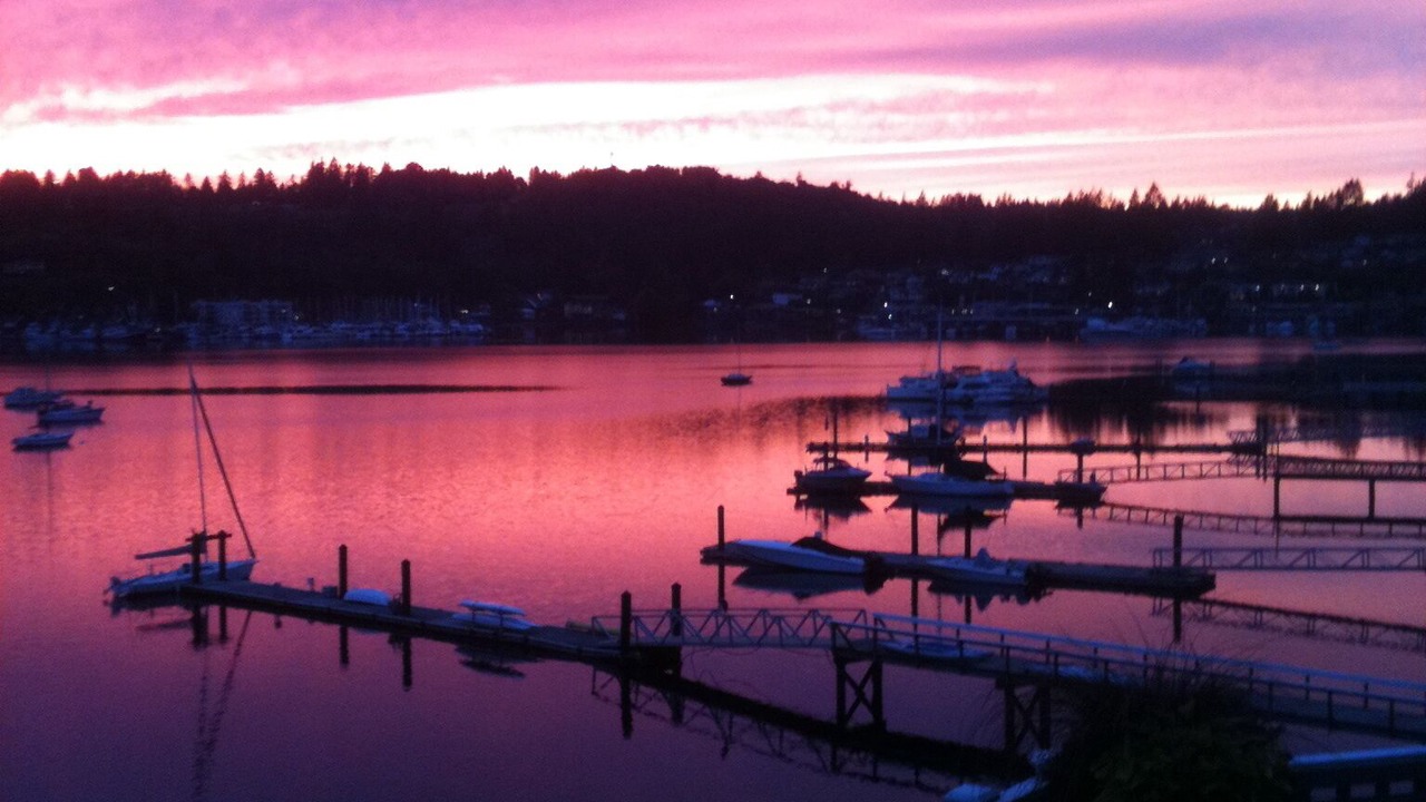 Photo of Others in Gig Harbor