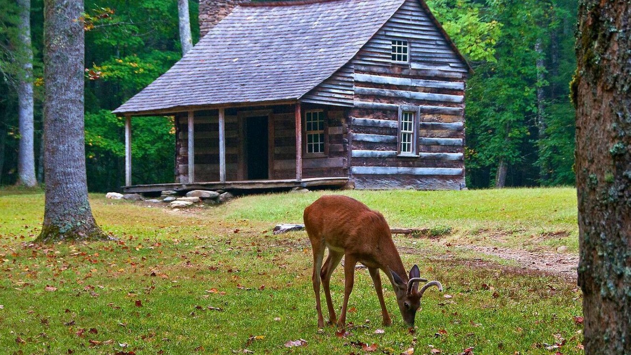 Photo of Outdoor in Sevierville