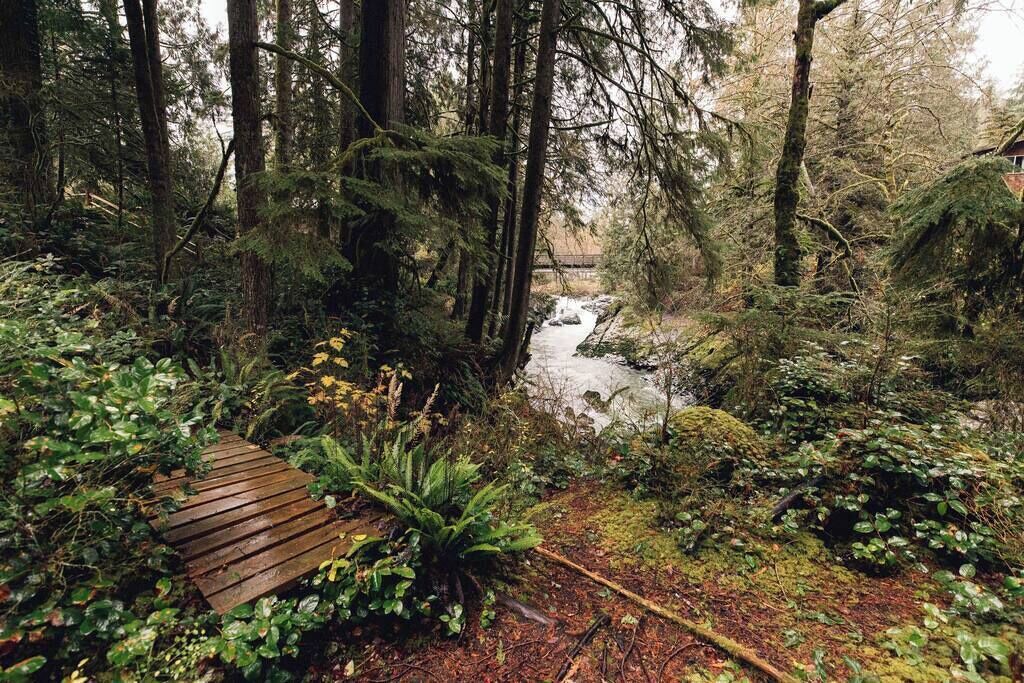 Photo of Others in Jordan Road-Canyon Creek