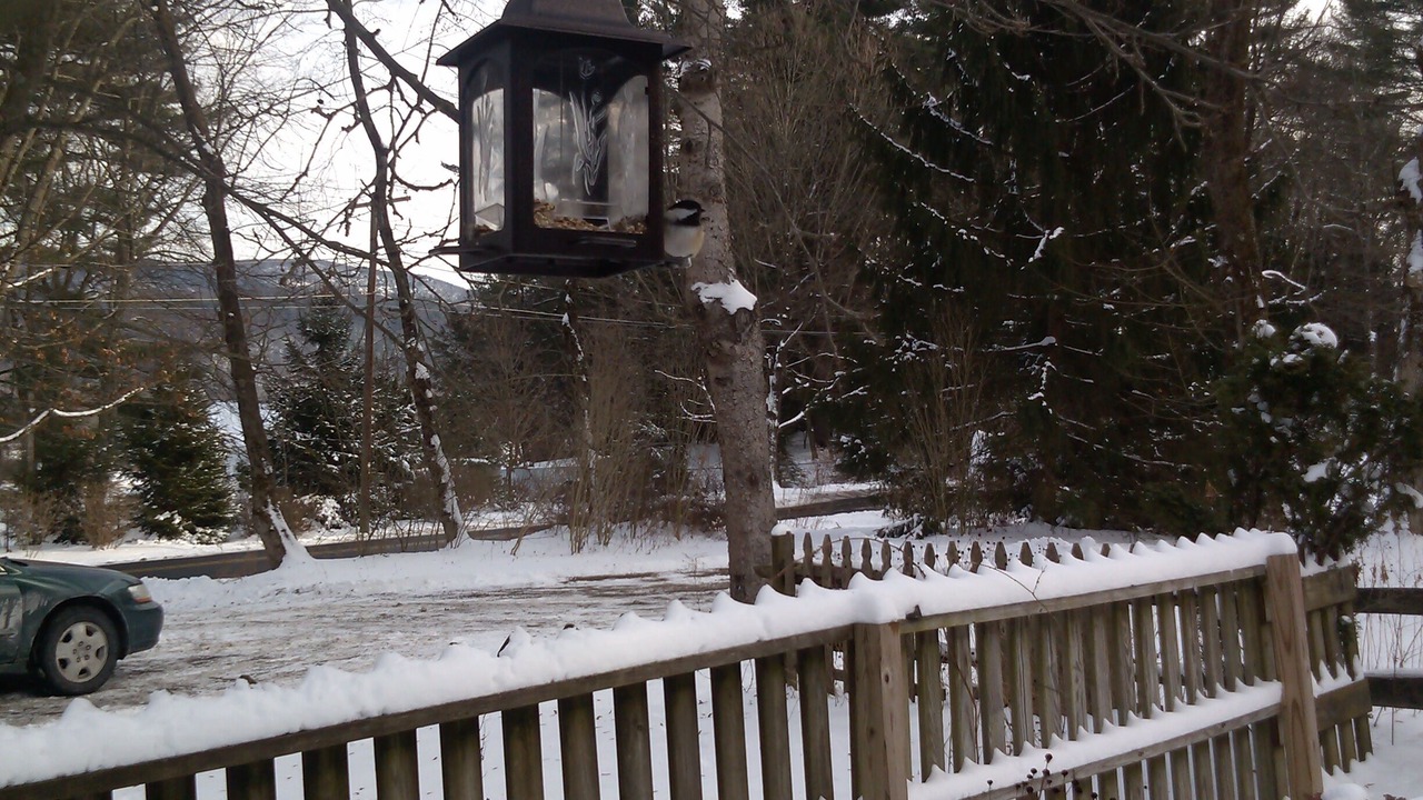 Photo of Others in Great Barrington