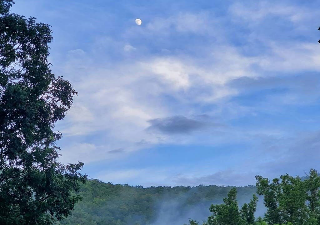 Photo of Others in Montreat