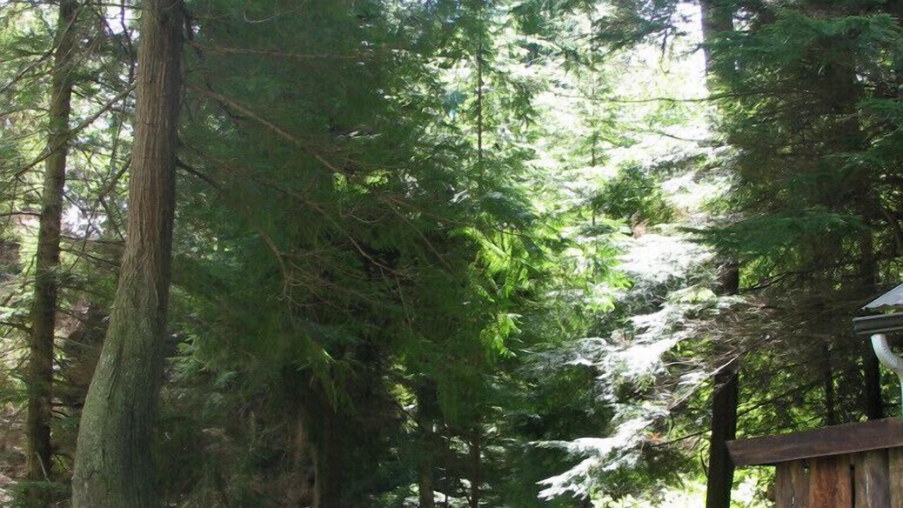 Photo of Others in Greenbank