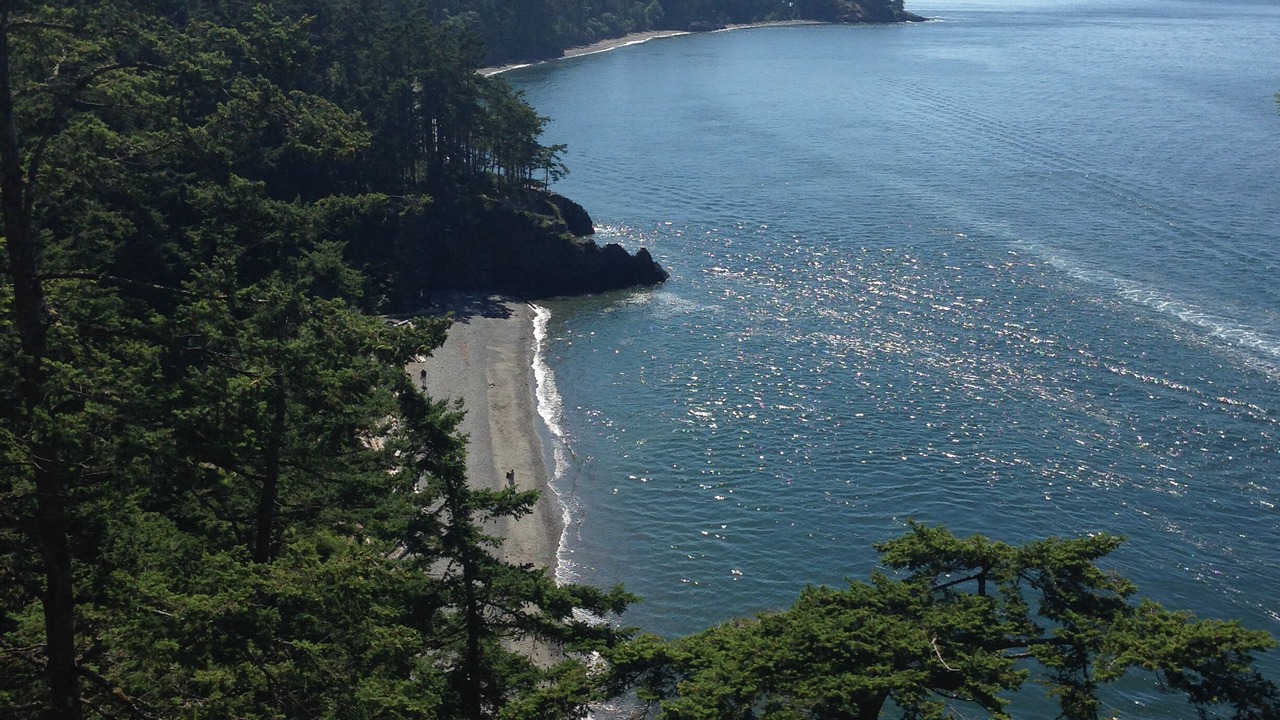 Photo of Others in Greenbank