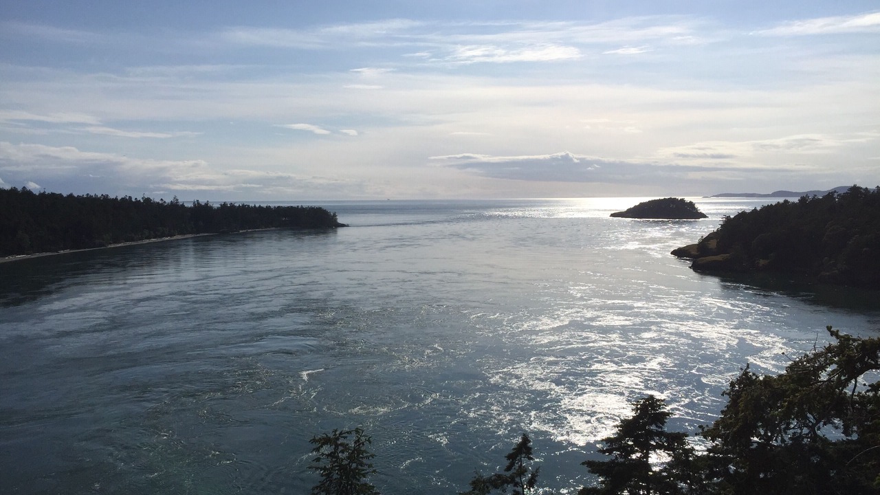 Photo of Others in Greenbank