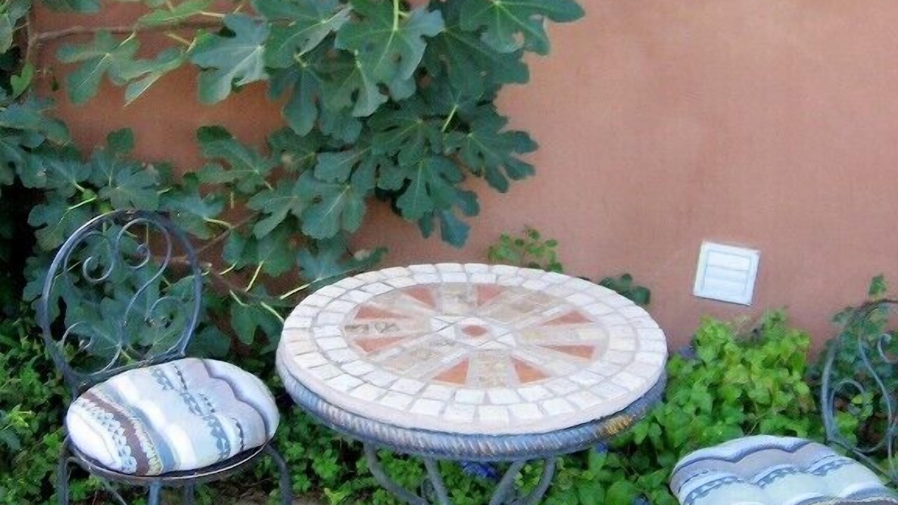 Photo of Patio Balcony in Los Duranes