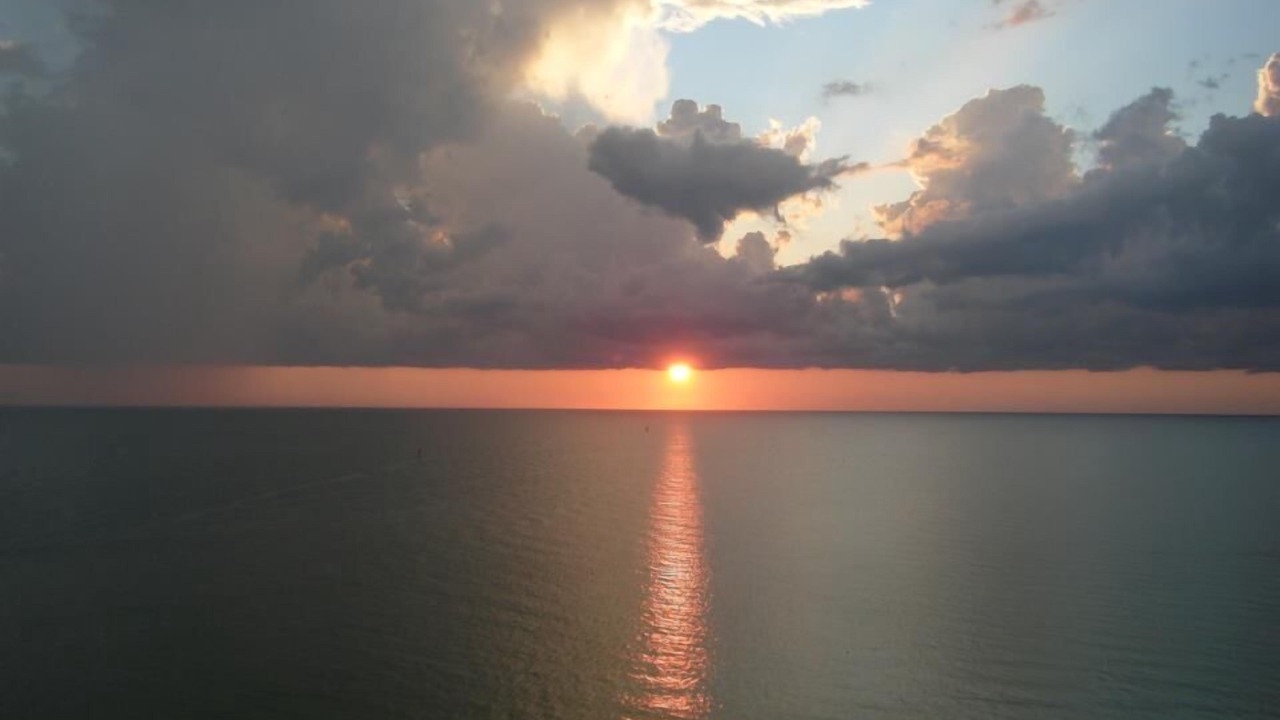 Photo of Others in Indian Shores