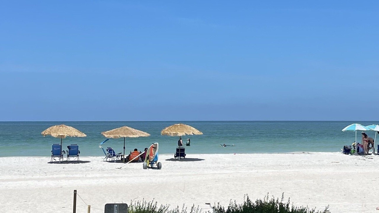 Photo of Others in Indian Shores