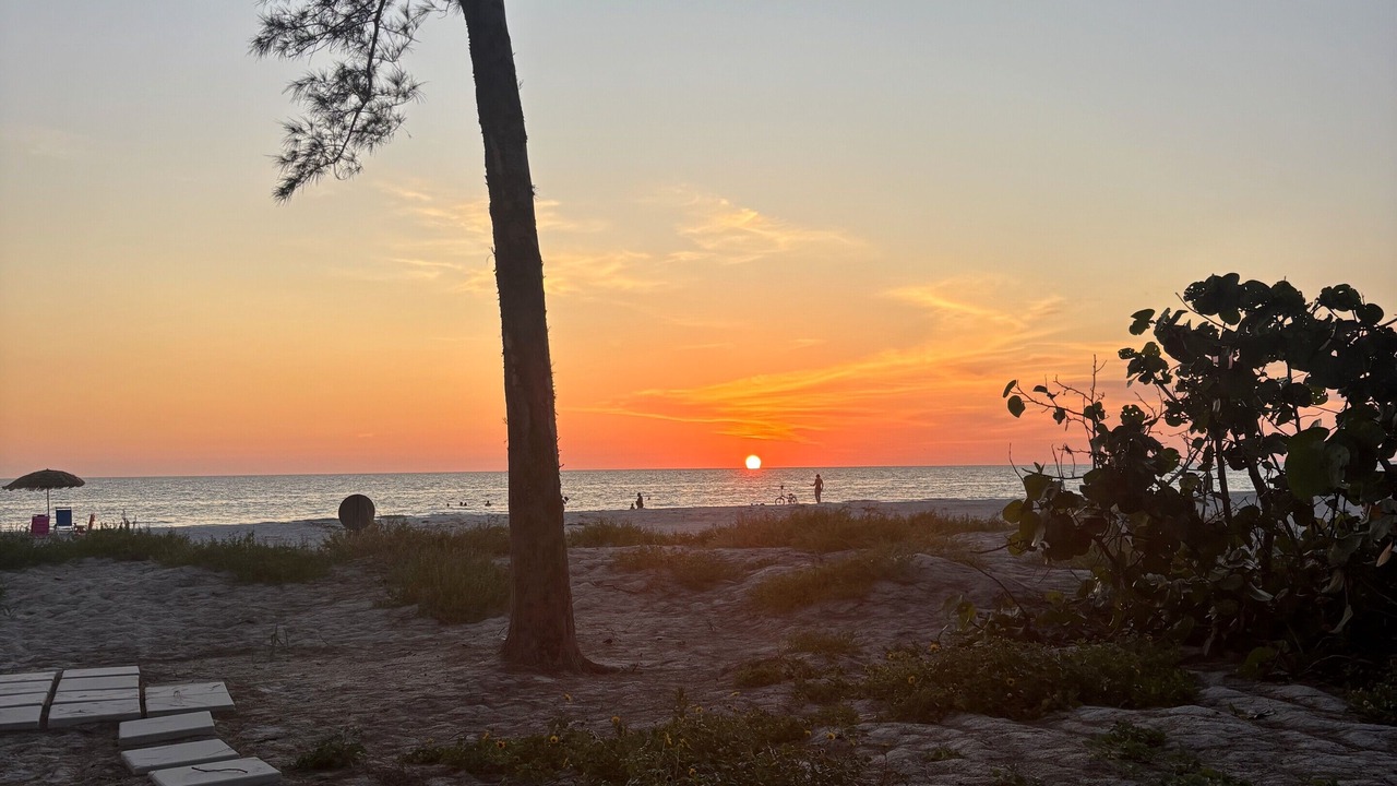 Photo of Others in Indian Shores