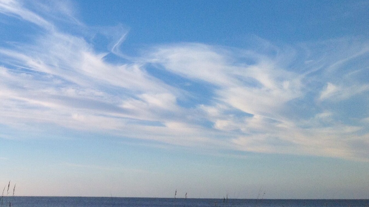 Photo of Others in Port St. Joe