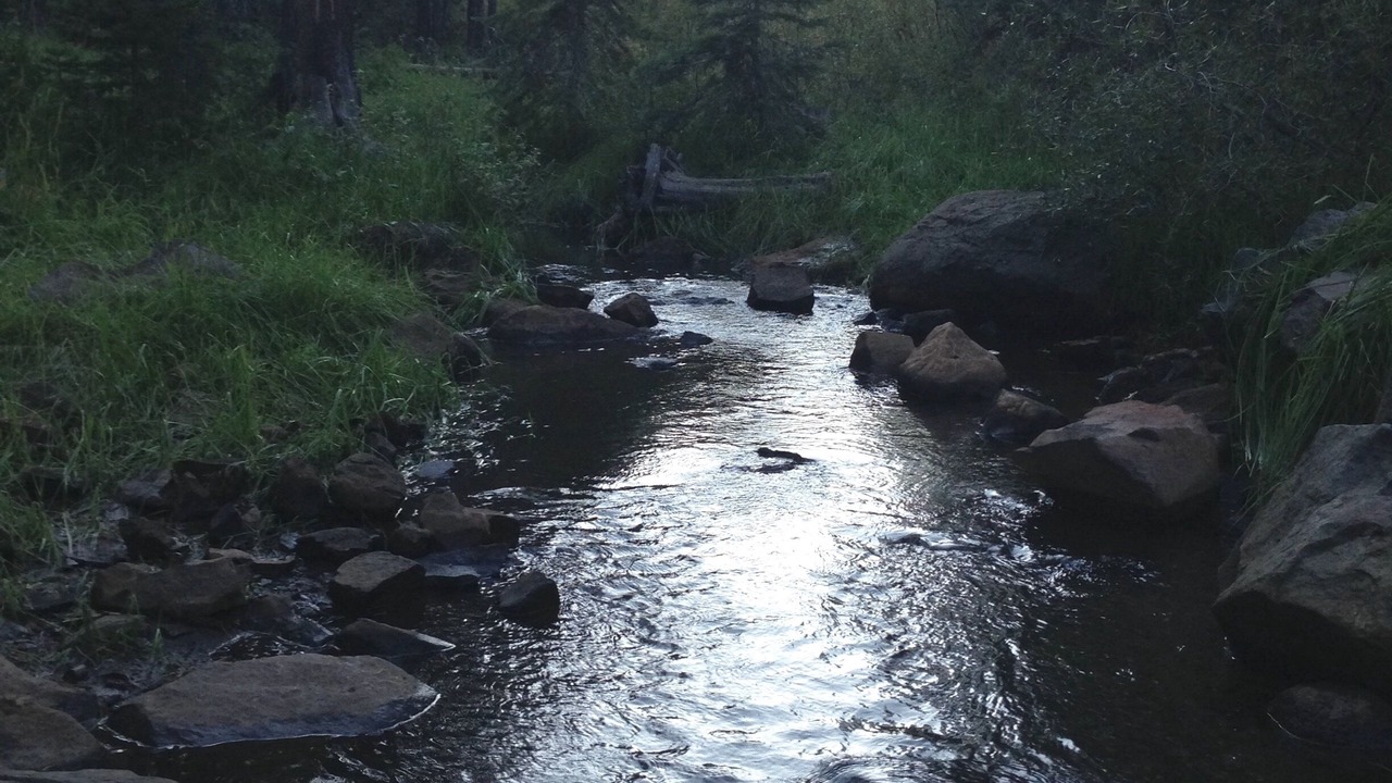 Photo of Others in Truckee
