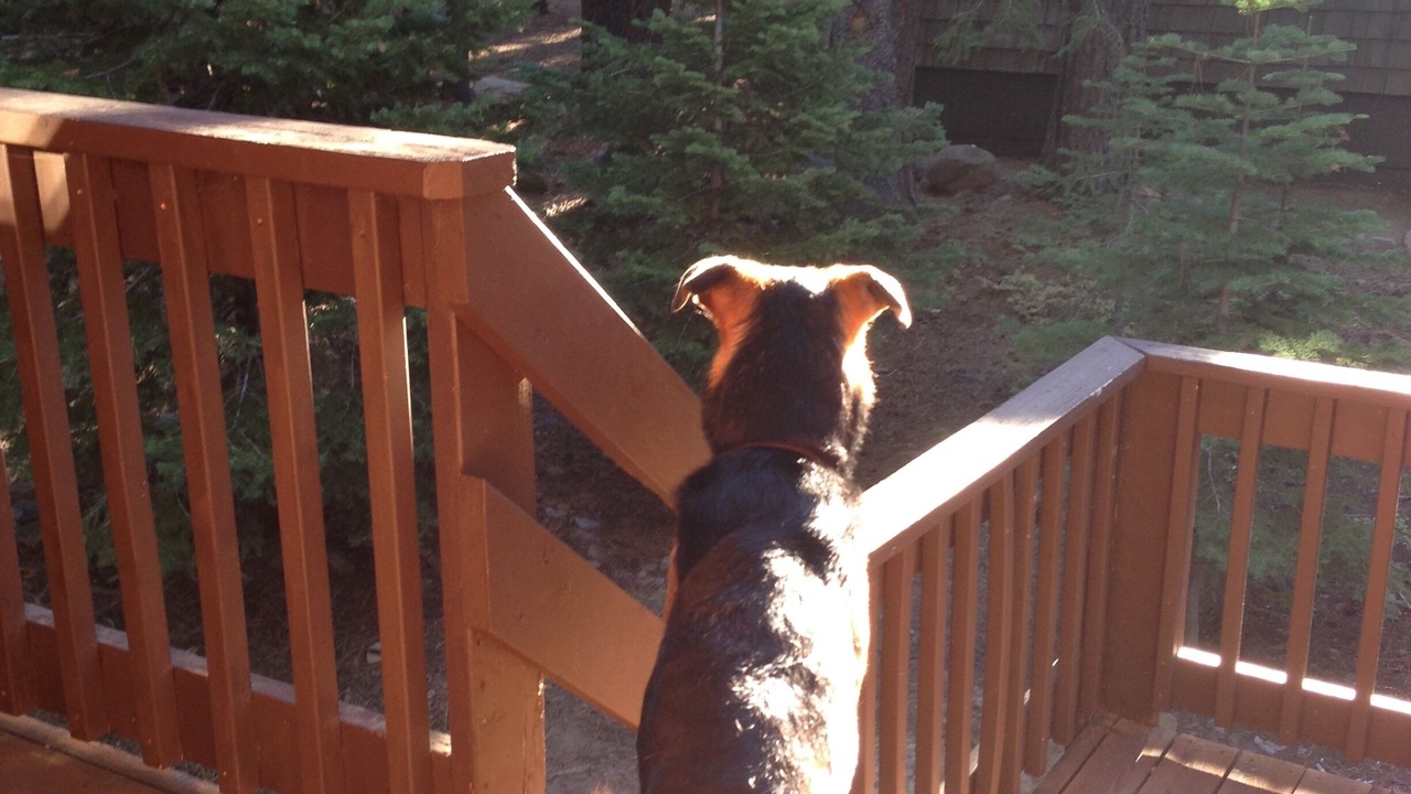 Photo of Others in Truckee