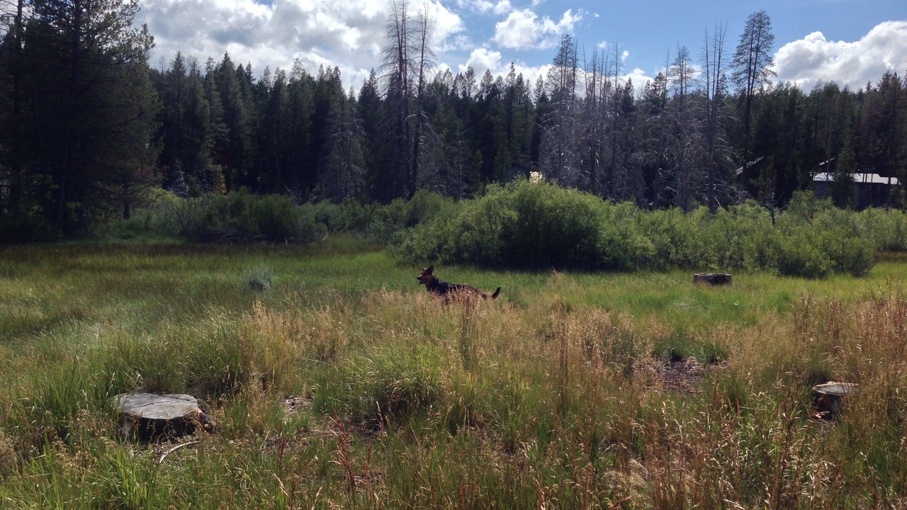 Photo of Others in Truckee