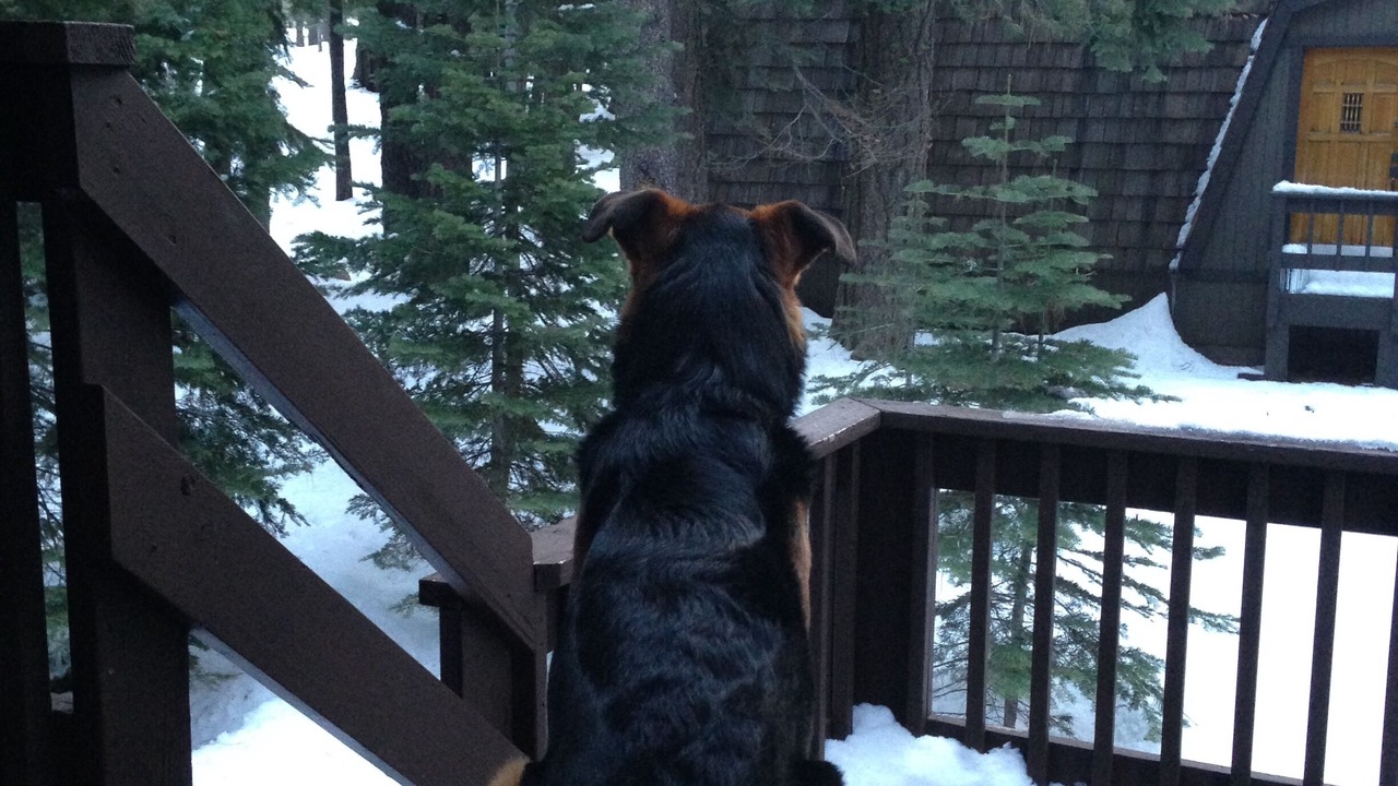Photo of Others in Truckee