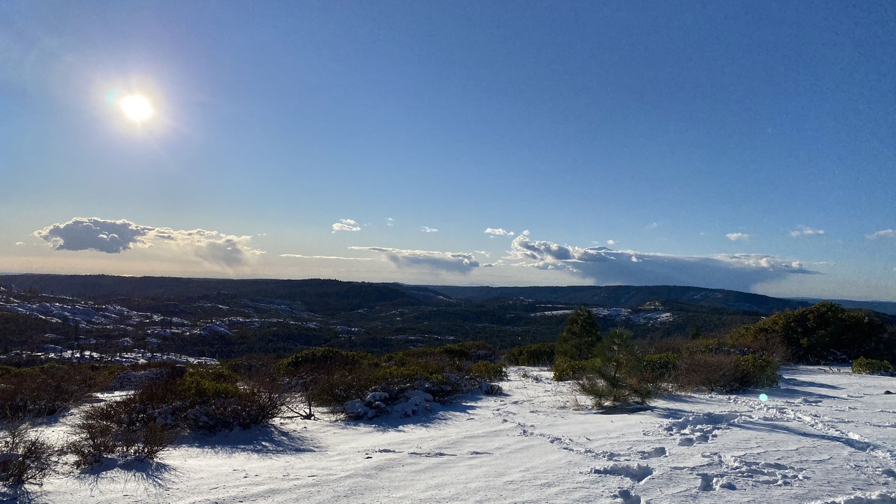 Photo of Others in Truckee