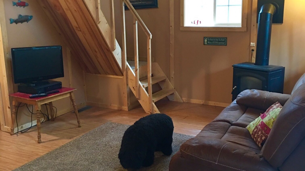 Photo of Livingroom in Sterling