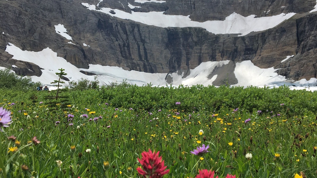 Photo of Outdoor in East Glacier Park Village