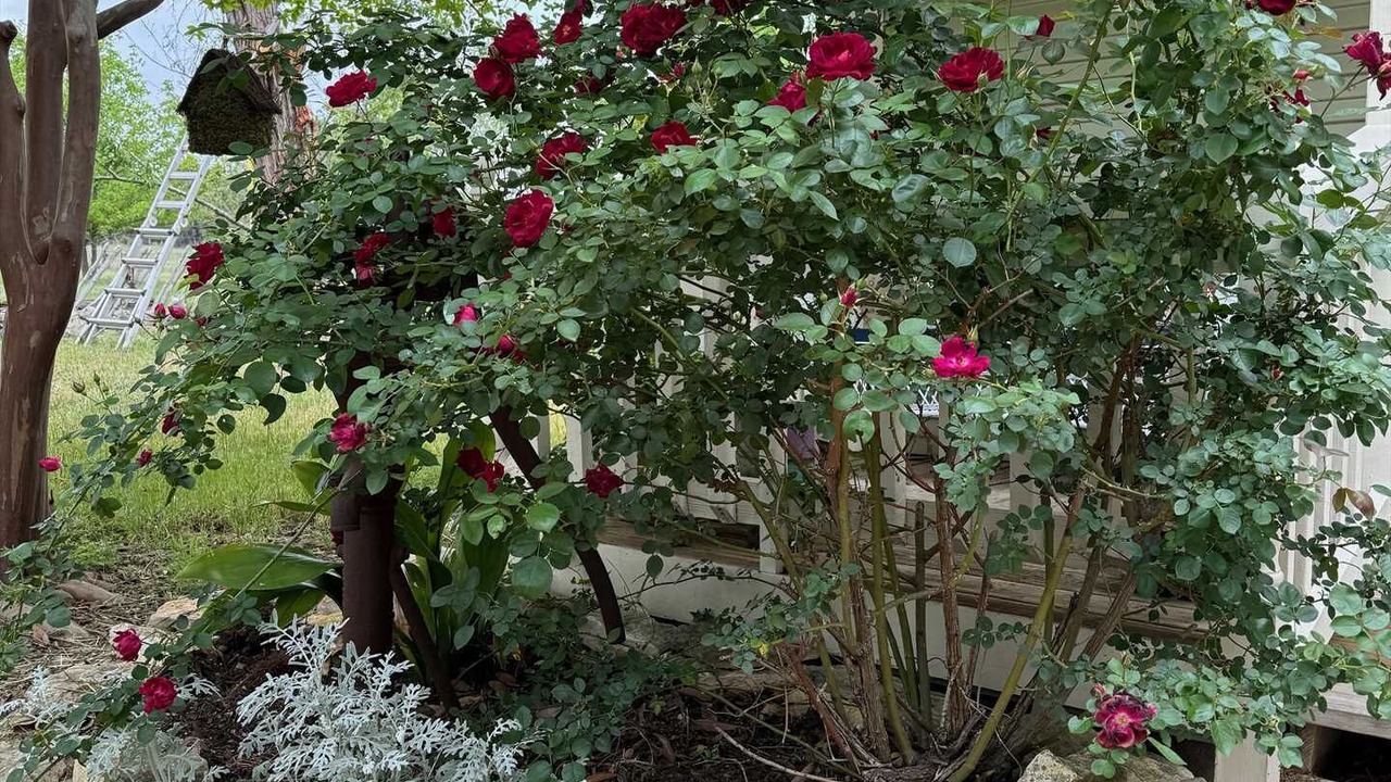 Photo of Outdoor in Bandera