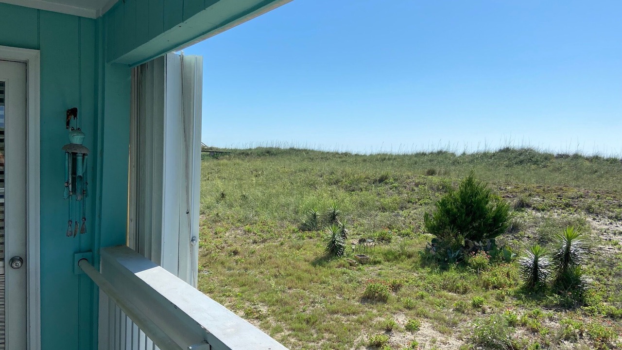 Photo of Outdoor in North Carolina Coast