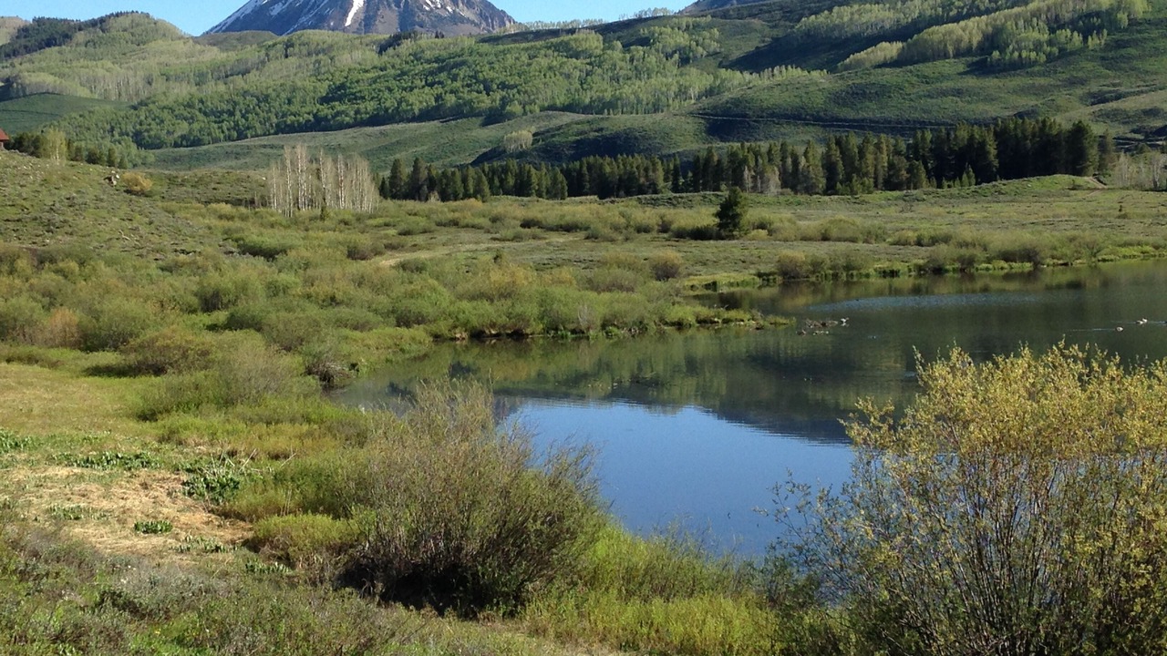 Photo of Others in Mount Crested Butte