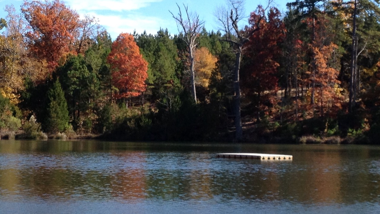 Photo of Outdoor in Van Zandt County