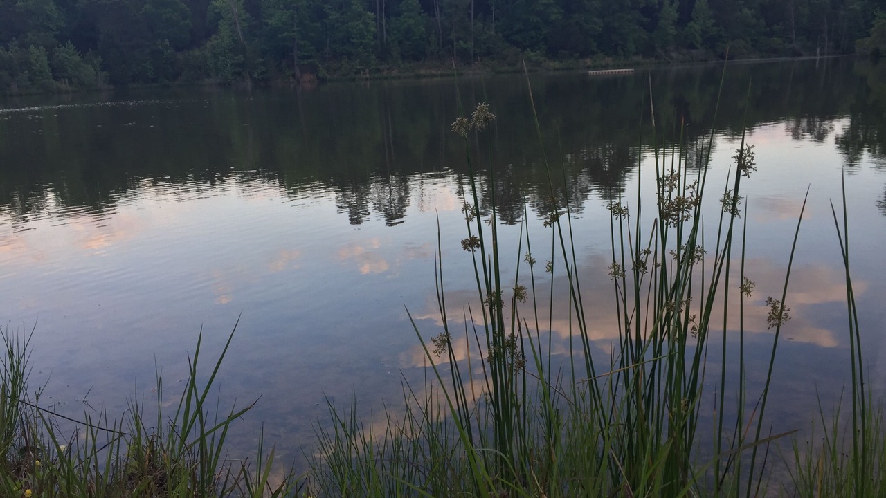 Photo of Outdoor in Van Zandt County