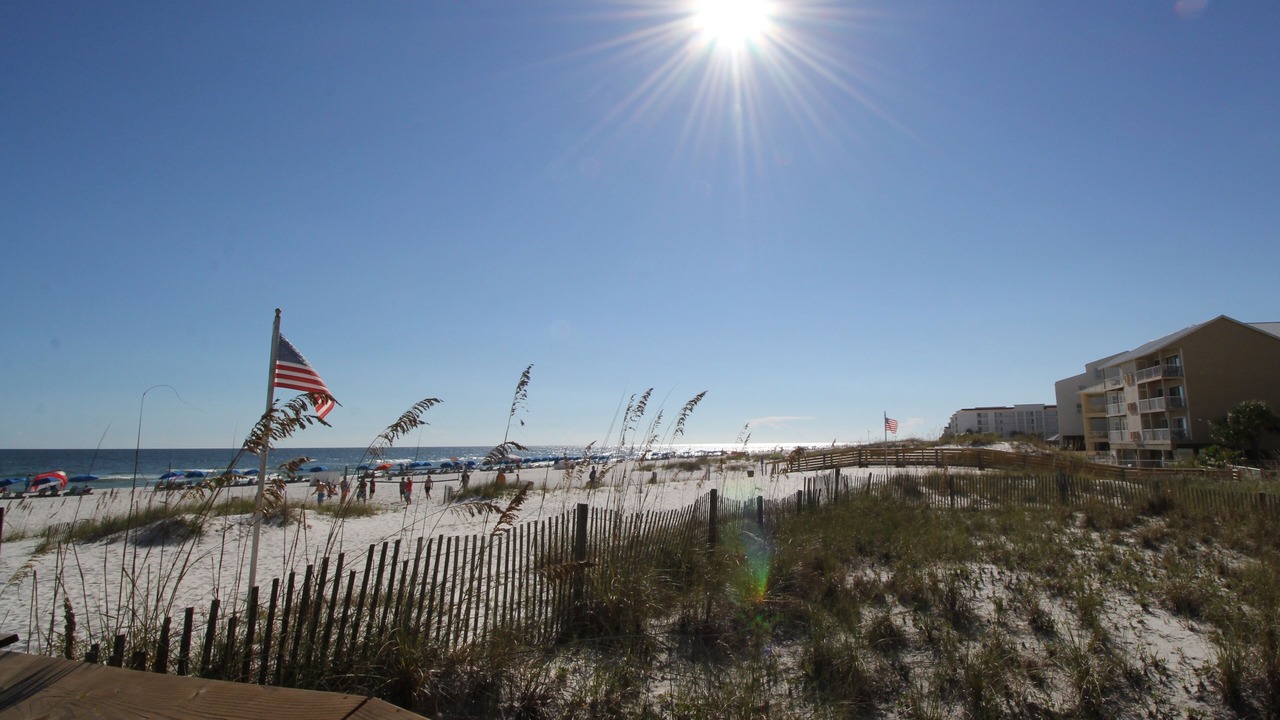 Photo of Others in Orange Beach