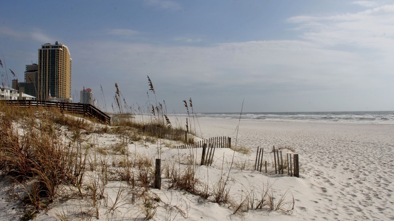 Photo of Others in Orange Beach