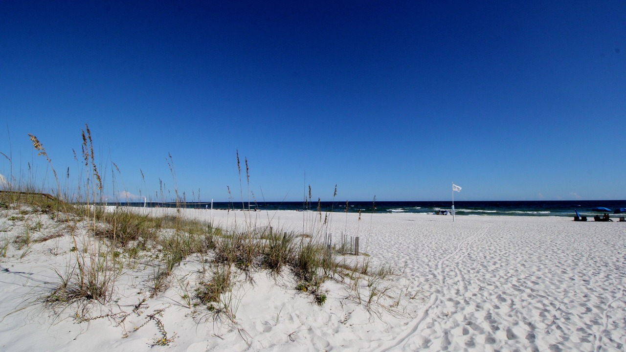 Photo of Others in Orange Beach