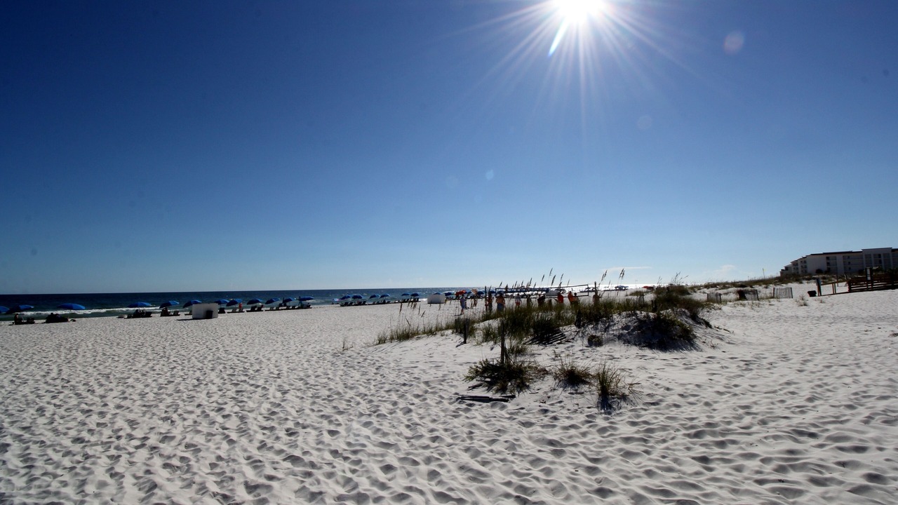Photo of Others in Orange Beach