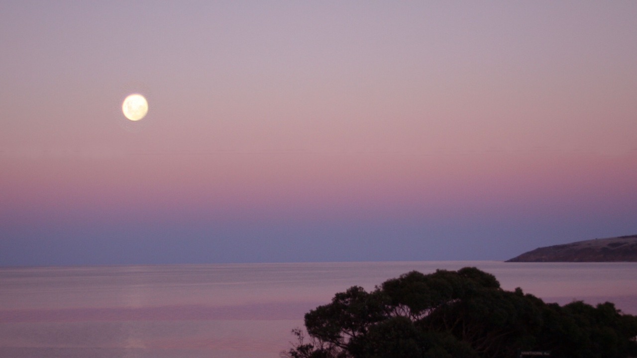 Photo of Others in Emu Bay