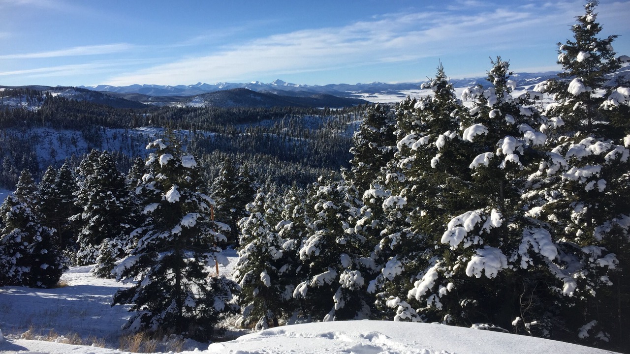 Photo of Others in Philipsburg