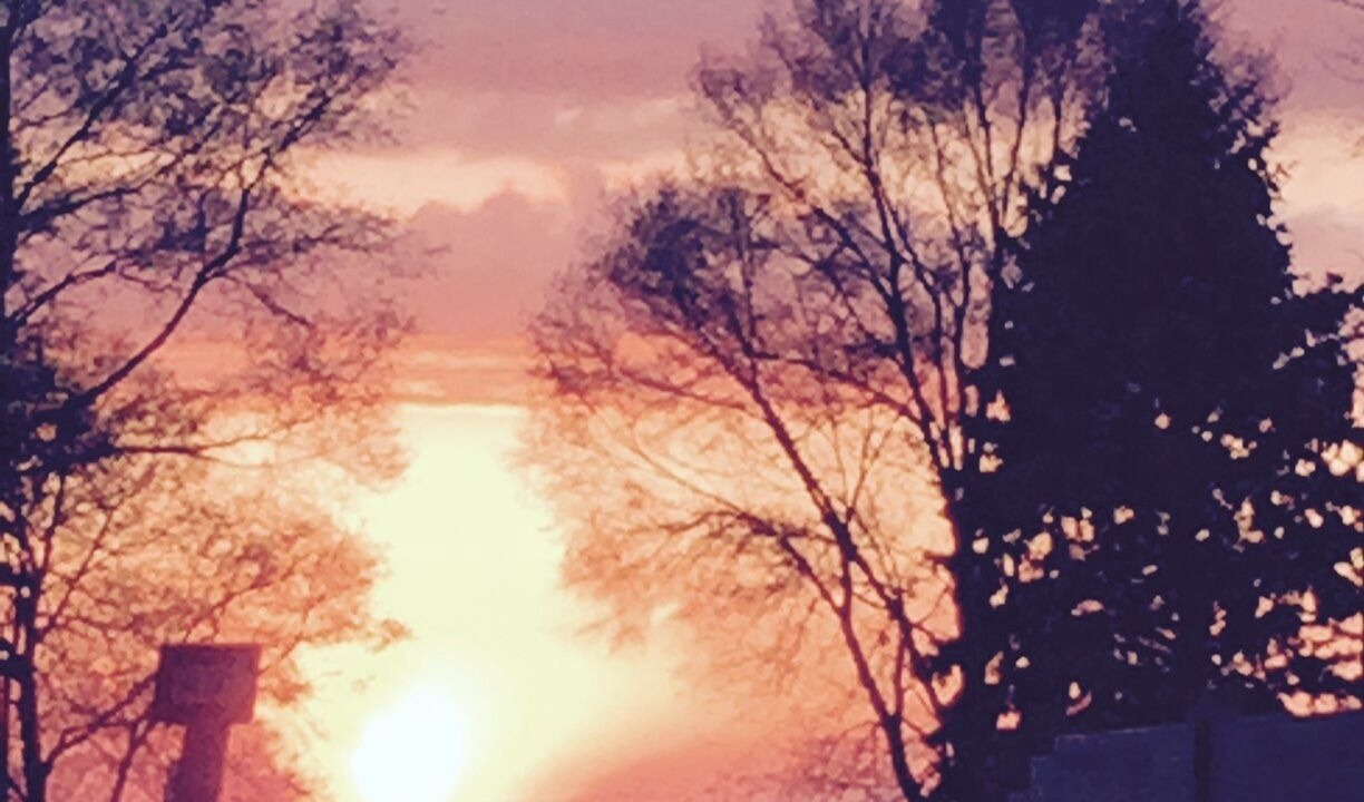Photo of Others in South Haven
