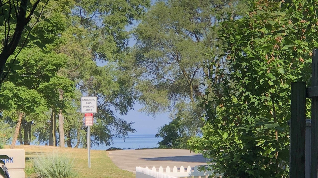 Photo of Others in South Haven