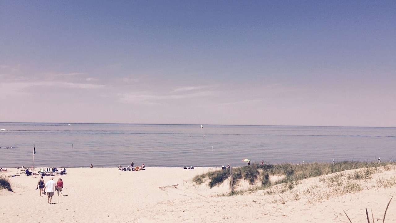 Photo of Others in South Haven
