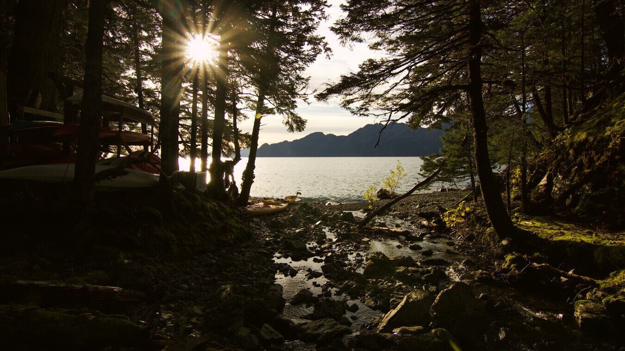 Photo of Others in Seward