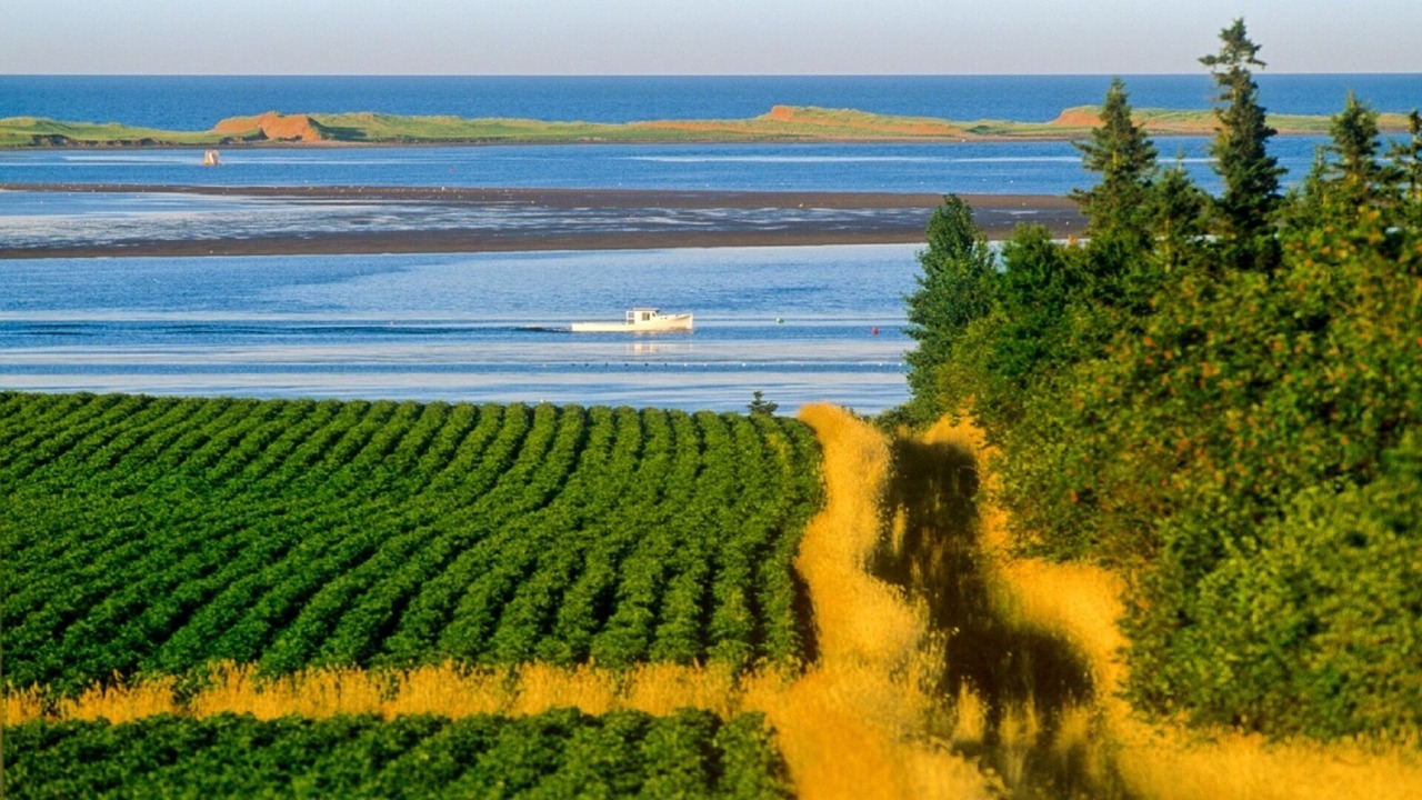 Photo of Others in French River