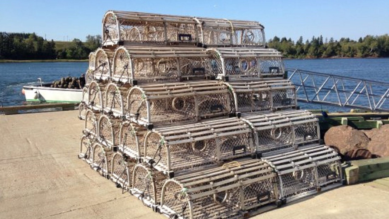 Photo of Others in French River
