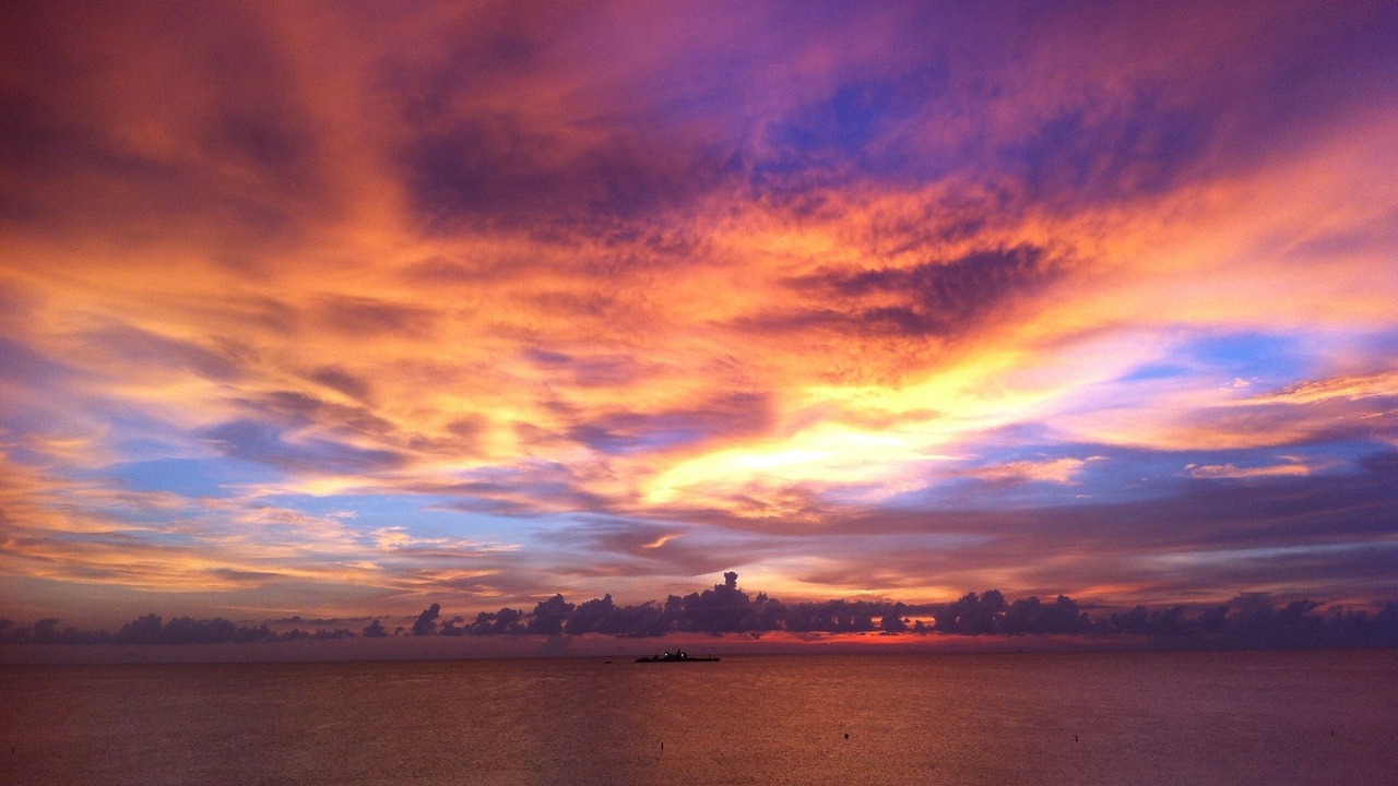 Photo of Others in Indian Rocks Beach