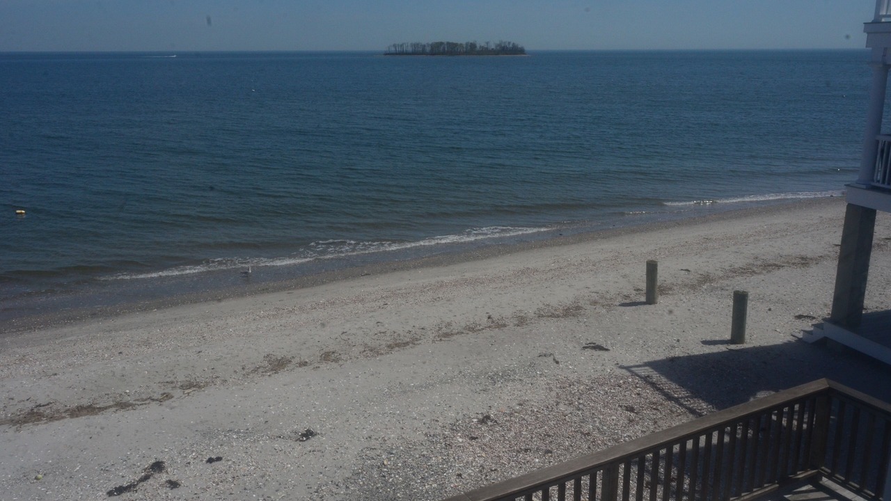 Photo of Others in Milford