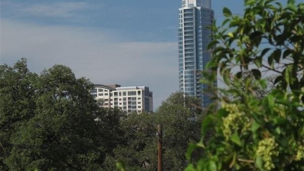Photo of Others in Travis Heights