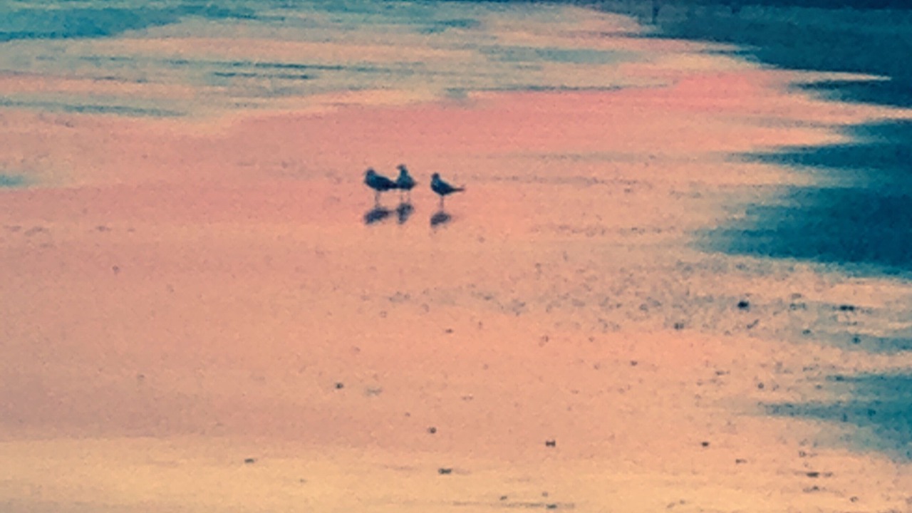 Photo of Others in Holden Beach