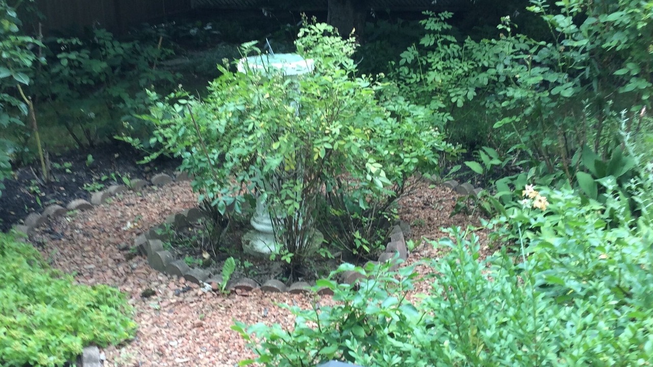 Photo of Outdoor in Niagara-on-the-Lake