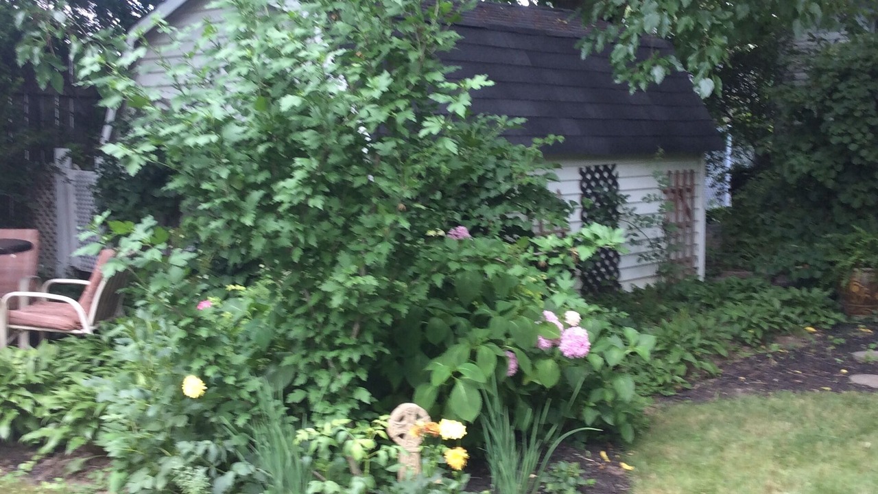 Photo of Outdoor in Niagara-on-the-Lake