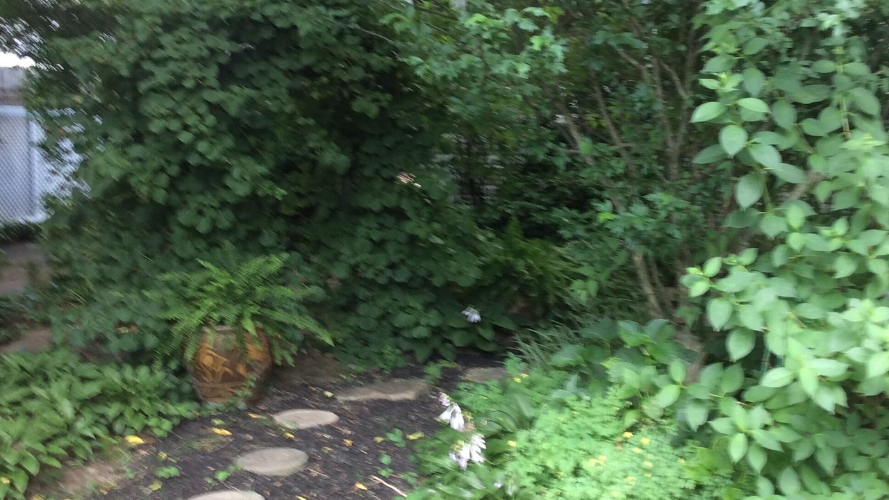 Photo of Outdoor in Niagara-on-the-Lake