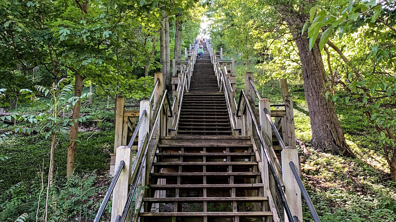 Photo of Others in Saugatuck