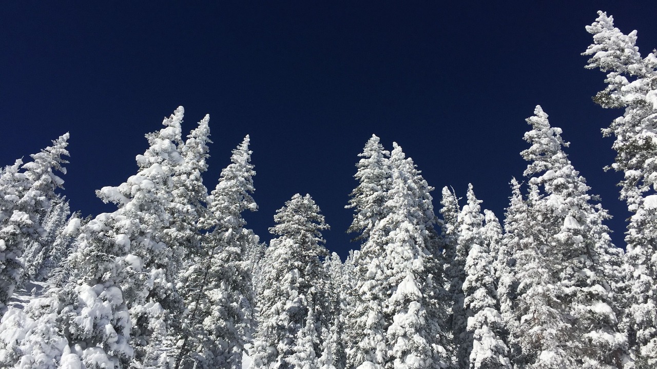 Photo of Outdoor in Arroyo Hondo